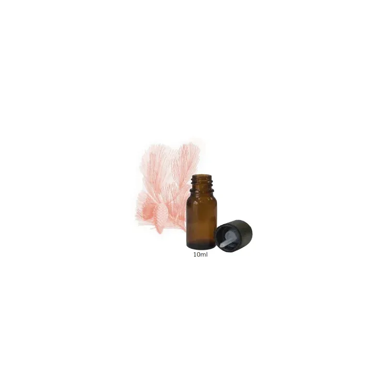 JERRAFLORE HUILE ESSENTIELLE DE TÉRÉBENTHINE 10ML